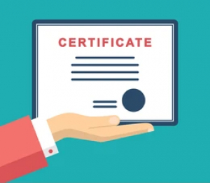 Participation certificates